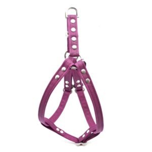 Berry Waxed Canvas Dog Harness