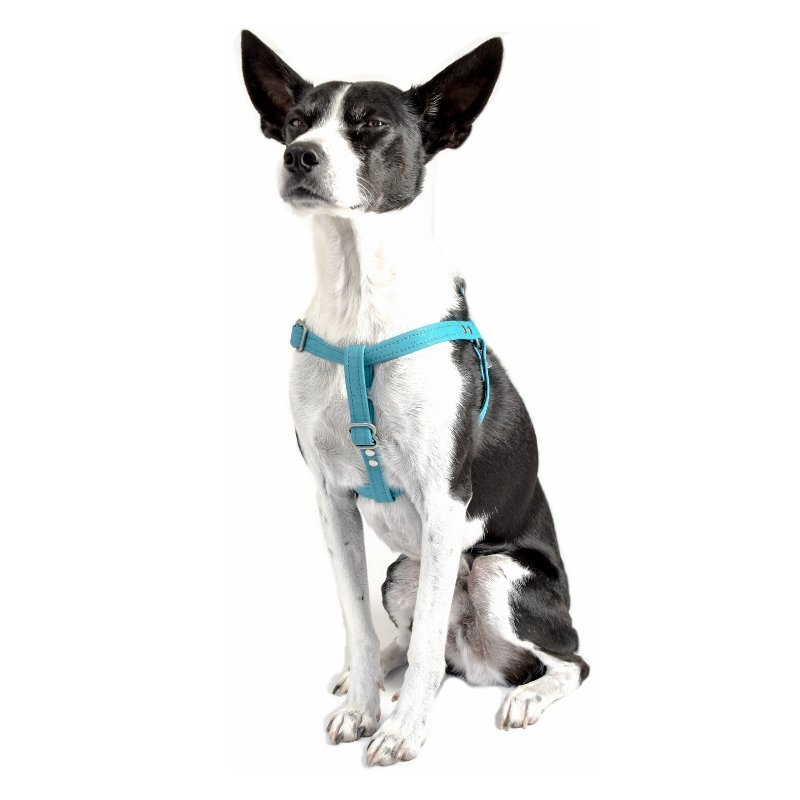 Teal Cork Dog Harness - Image 2